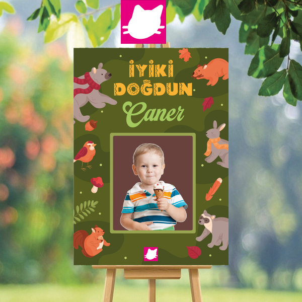 Sevimli Hayvanlar Ayi Tavsan Kus Fare Sincap Mantar Konsepti Sonbahar Temalı Doğum Günü Panosu / Karşılama Panosu 50x70 - DGNPN1059
